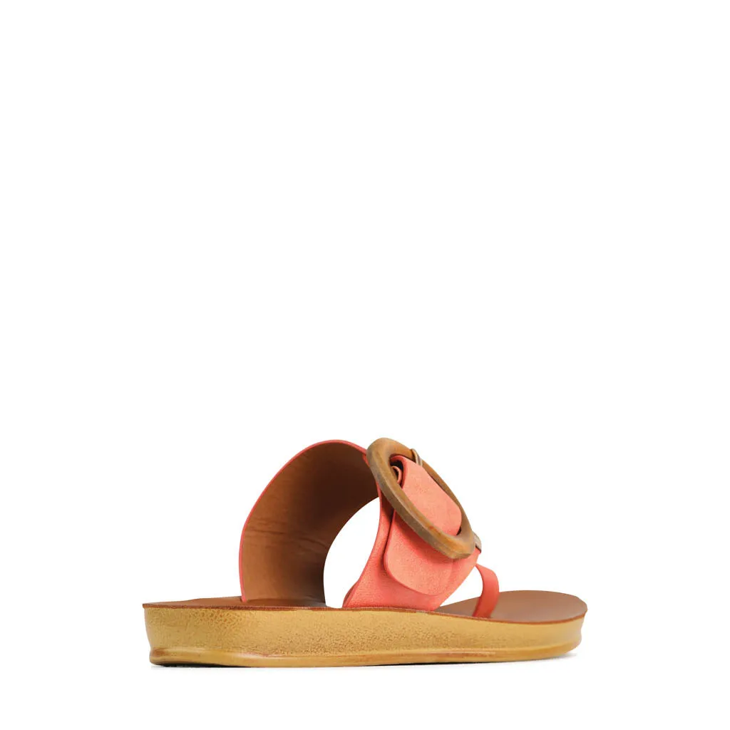 DAMA